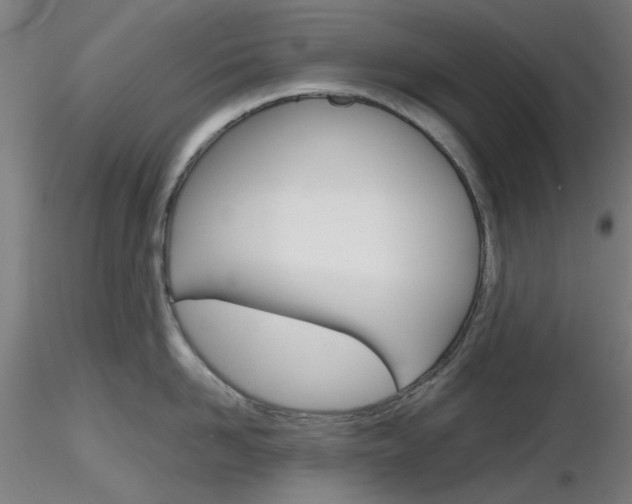 X0000116850958200912220939