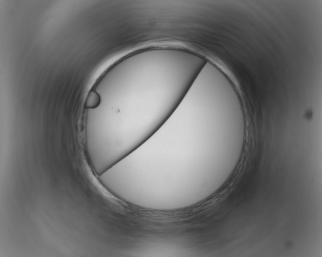 X0000116850959200912220939
