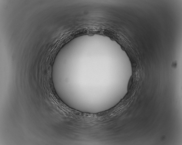 X0000116850961200912220938