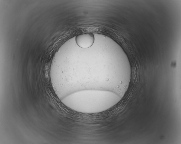 X0000116850962200912220938