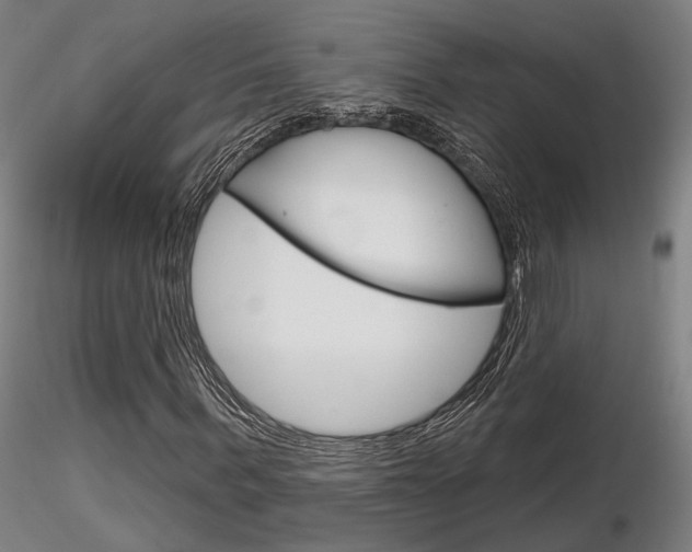 X0000116850963200912220938