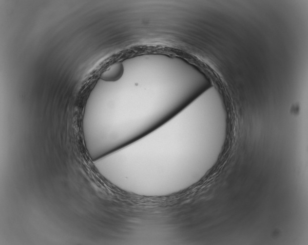 X0000116850968200912220938