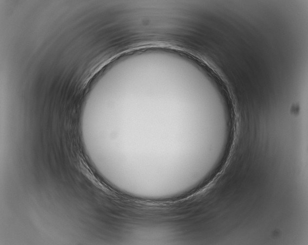 X0000116850969200912220938