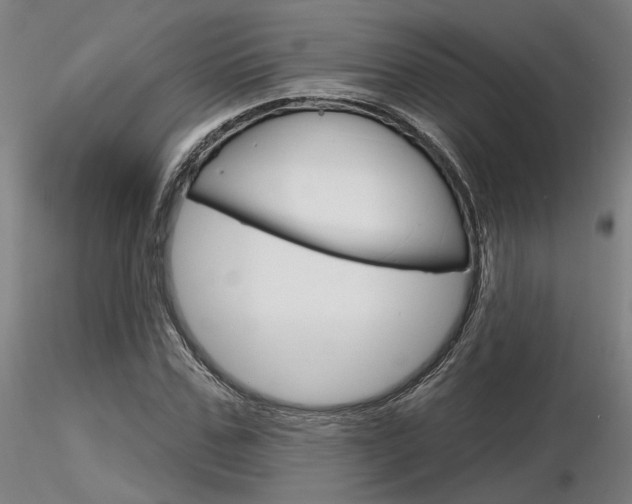 X0000116850971200912220938