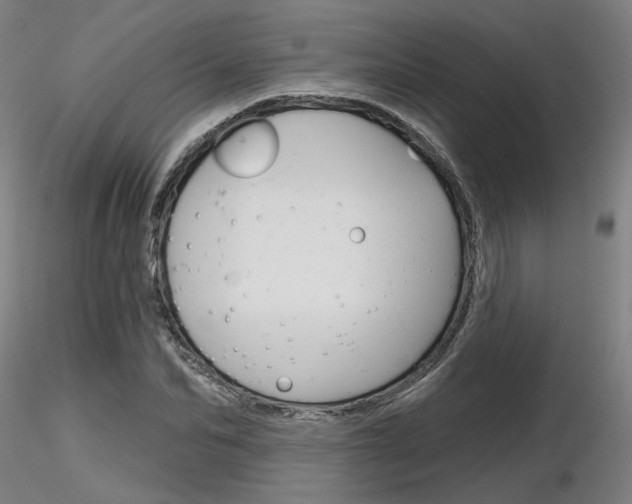 X0000116850974200912220938