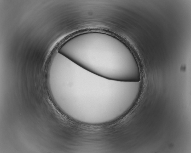 X0000116850975200912220938