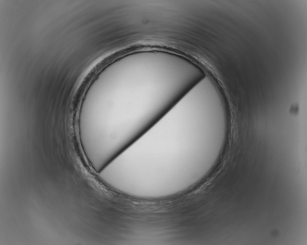 X0000116850976200912220938