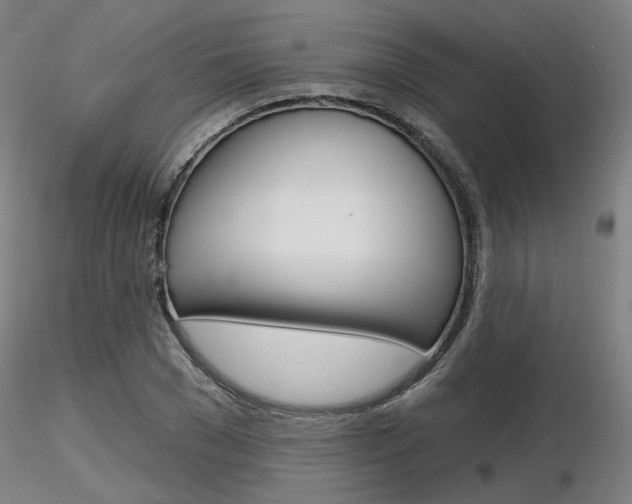 X0000116850977200912220938
