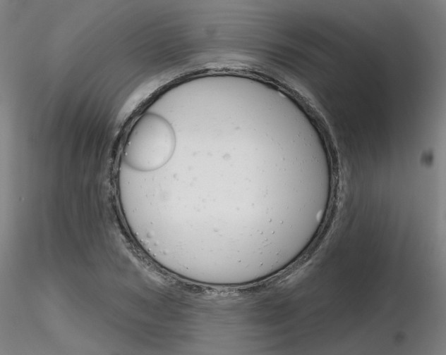 X0000116850978200912220938