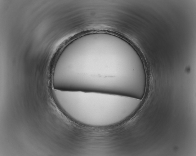 X0000116850979200912220938