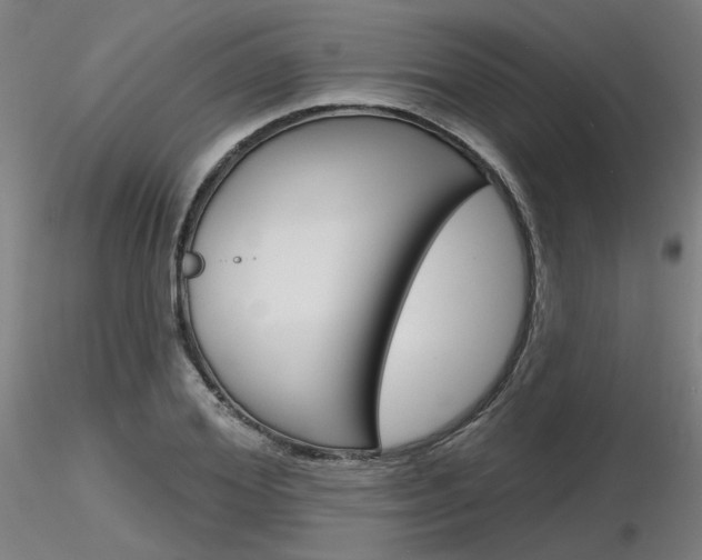 X0000116850980200912220938