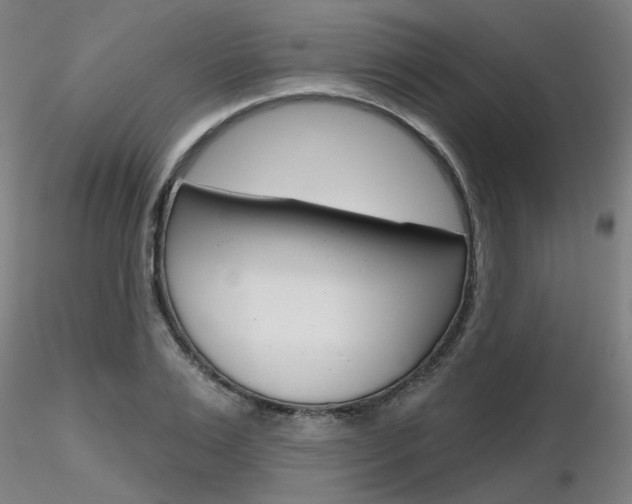 X0000116850983200912220938