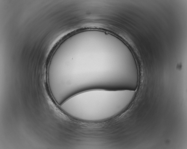 X0000116850984200912220938