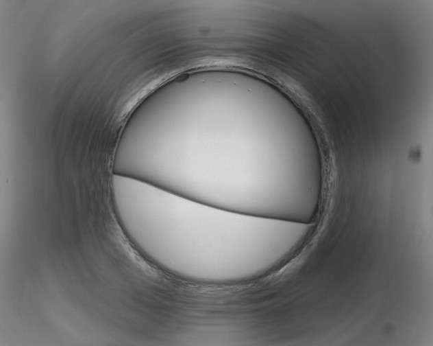 X0000116850985200912220938