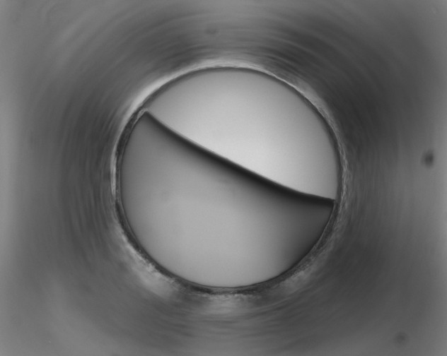 X0000116850988200912220938