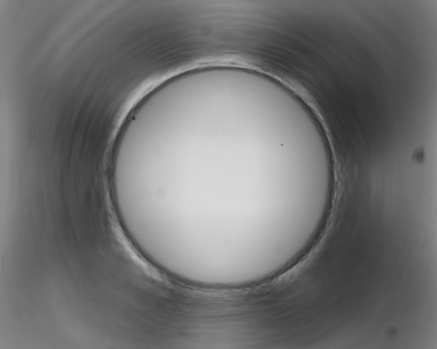 X0000116850989200912220938