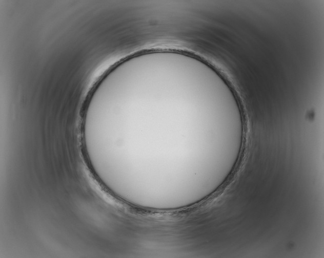 X0000116850990200912220938