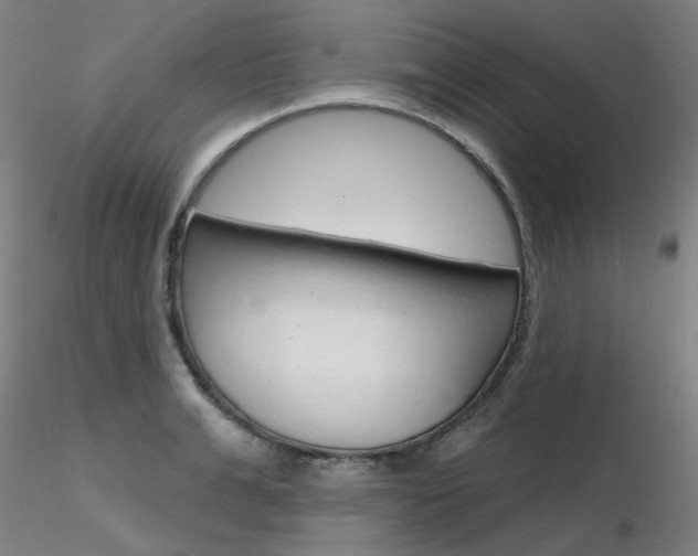 X0000116850991200912220938