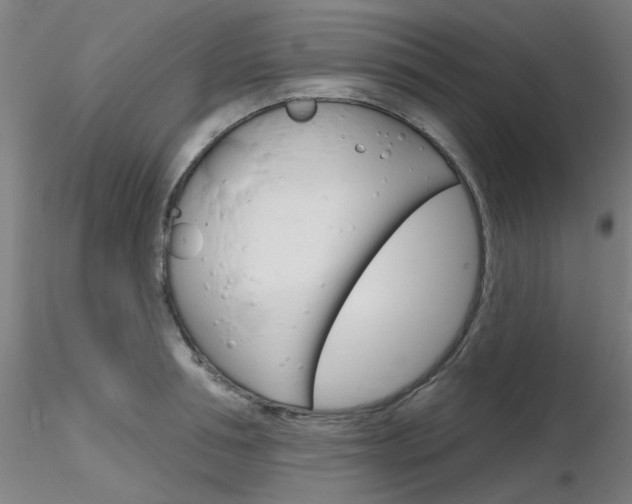 X0000116850994200912220938