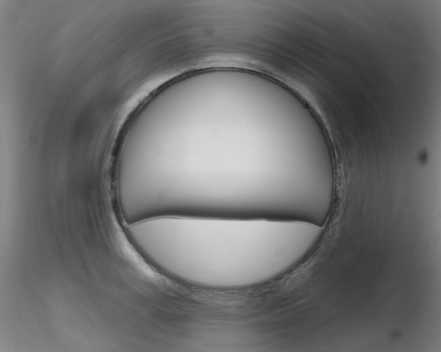X0000116850995200912220938