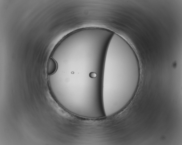 X0000116850996200912220938