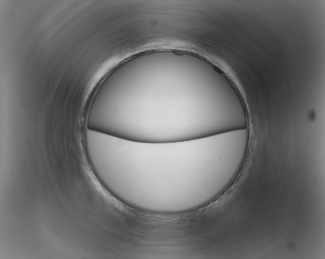 X0000116850997200912220938