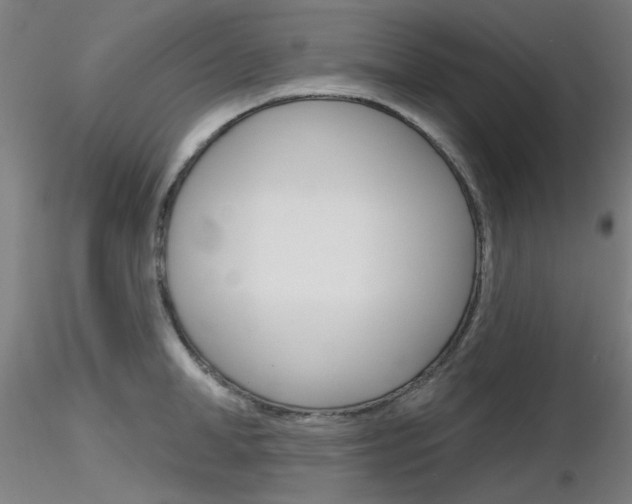 X0000116850998200912220938