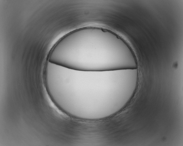 X0000116850999200912220938