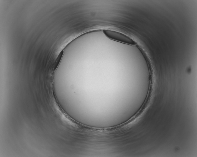 X0000116851001200912220938