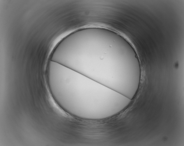 X0000116851003200912220938