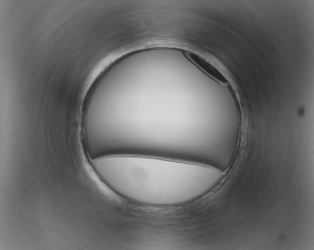 X0000116851005200912220938