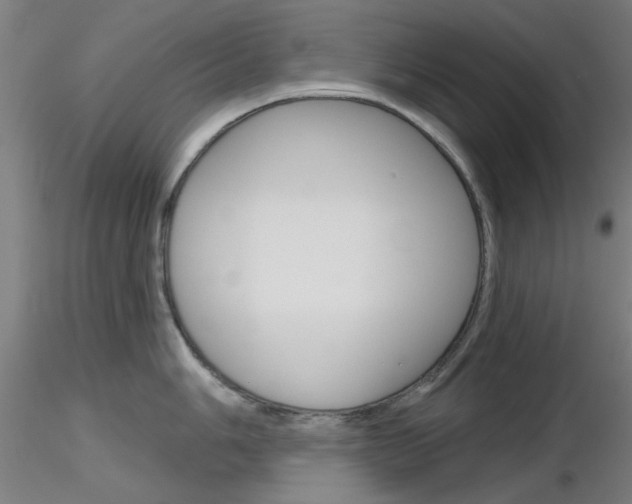 X0000116851006200912220938