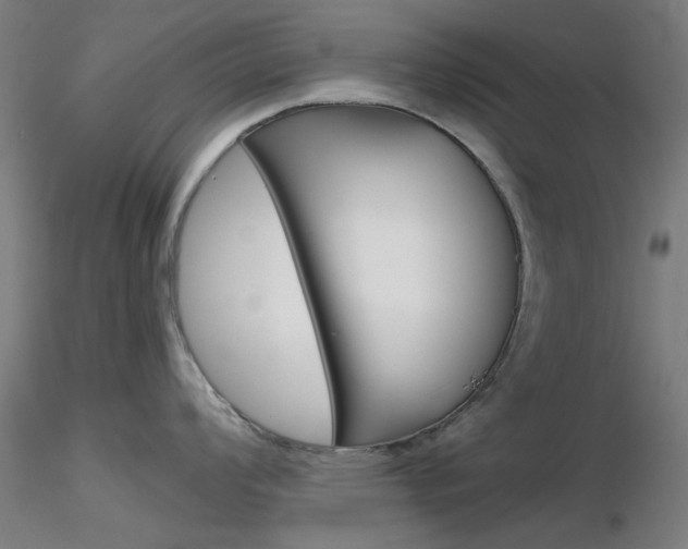 X0000116851008200912220938