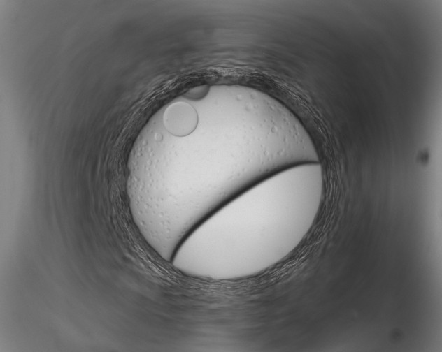X0000116851009200912220937