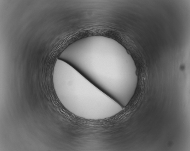 X0000116851010200912220937
