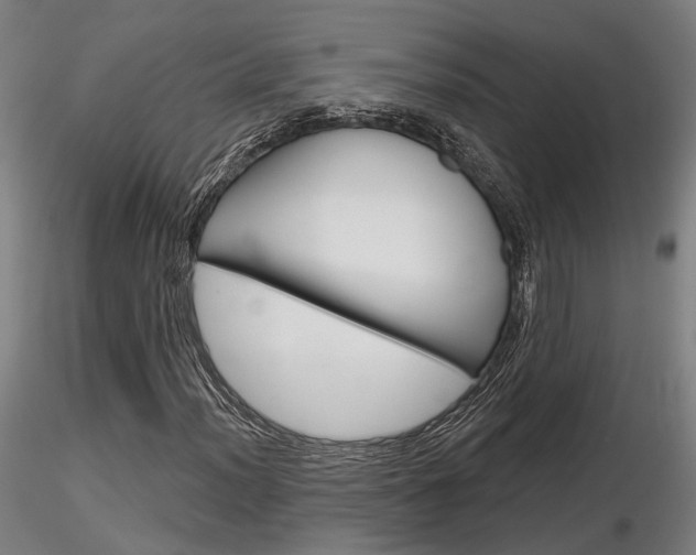 X0000116851012200912220937