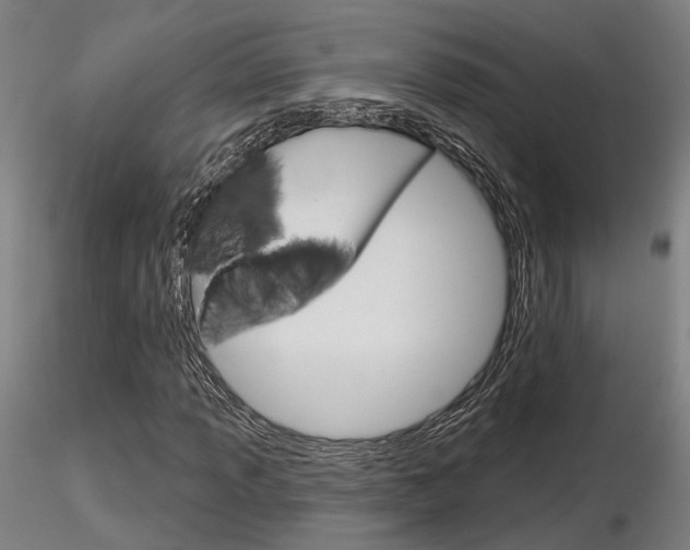 X0000116851013200912220937