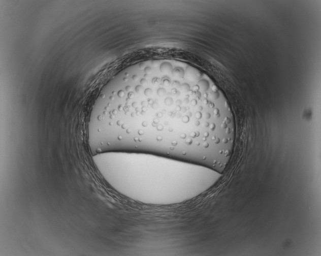 X0000116851014200912220937