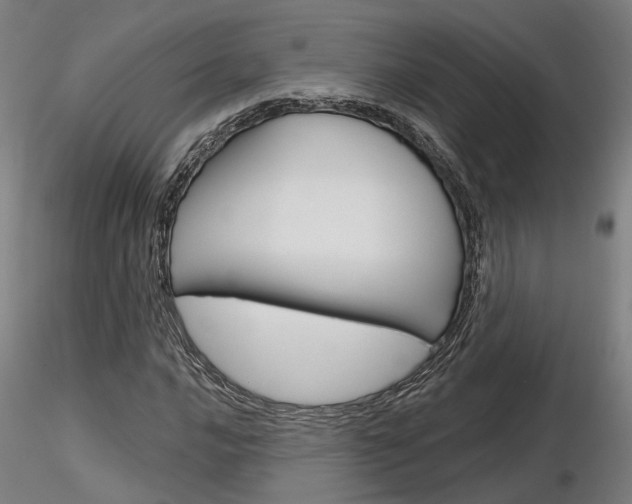 X0000116851016200912220937