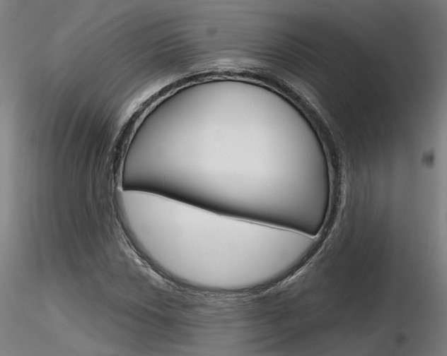 X0000116851018200912220937