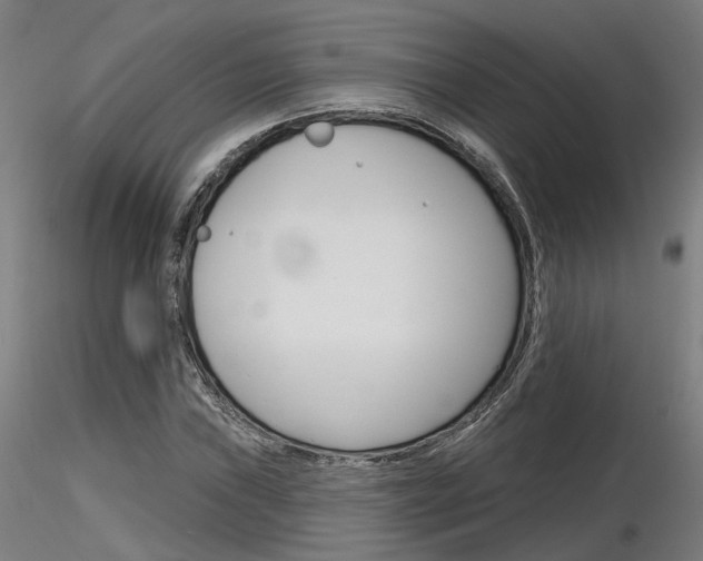 X0000116851019200912220937