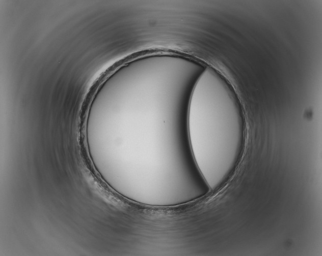 X0000116851020200912220937