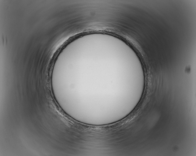 X0000116851023200912220937