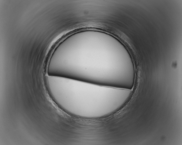 X0000116851024200912220937