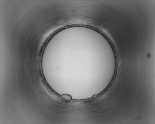 X0000116851027200912220937