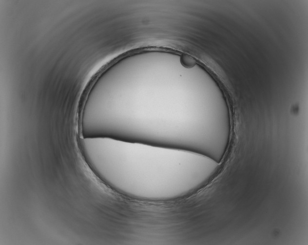 X0000116851028200912220937