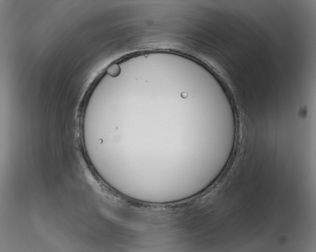 X0000116851031200912220937
