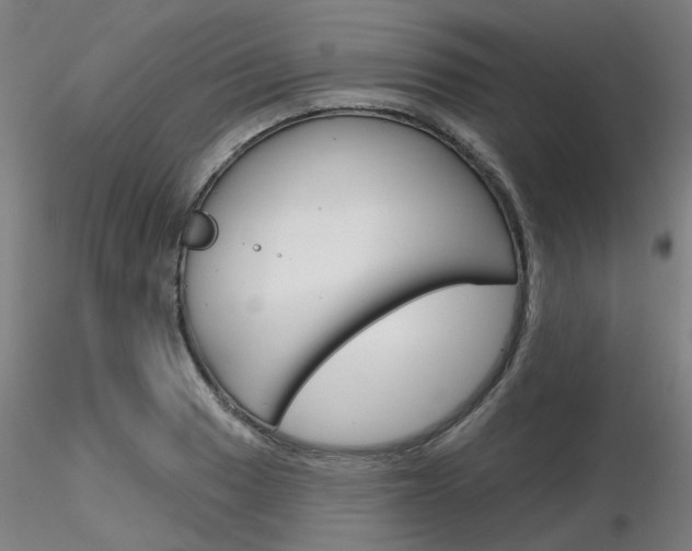 X0000116851033200912220937