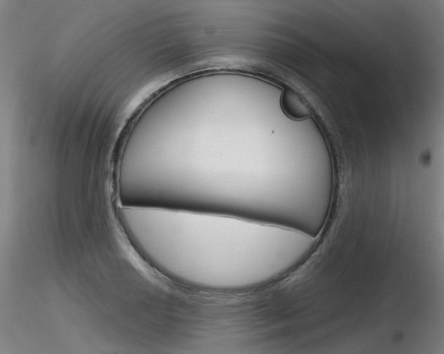 X0000116851034200912220937