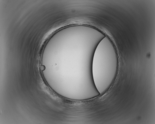 X0000116851035200912220937